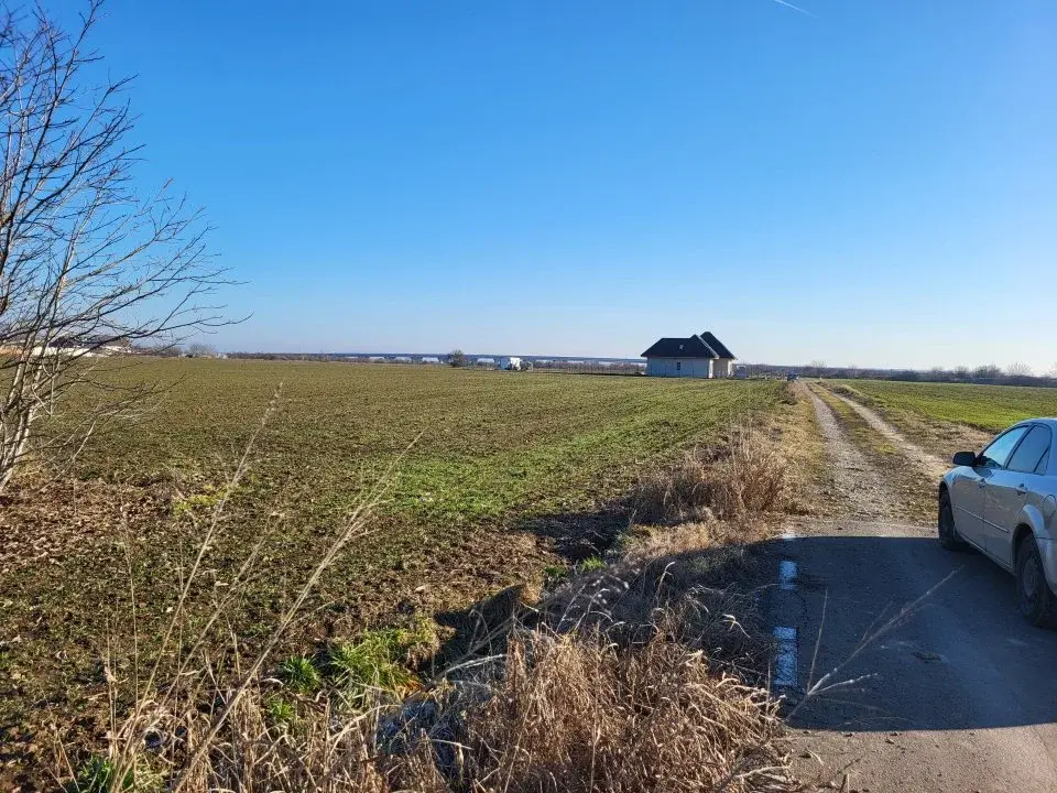 Teren de Vânzare în Moara Vlăsiei - 1500 mp pe Aleea Trandafirilor